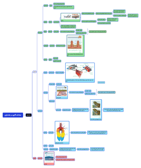 مایندمپ گفتار سوم فصل 3 زیست دهم: تنوع تبادلات گازی