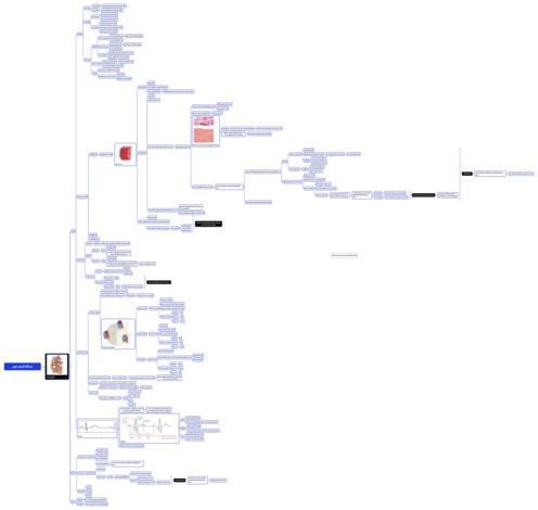 مایندمپ گفتار اول فصل 4 زیست دهم: قلب