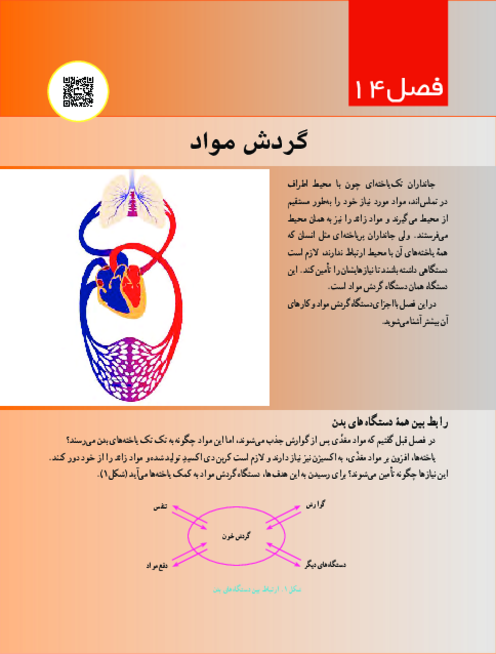 کتاب نوشت علوم هفتم درس 14: گردش مواد 