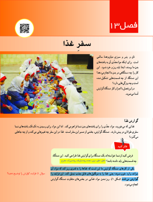 کتاب نوشت علوم هفتم فصل 13: سفر غذا 