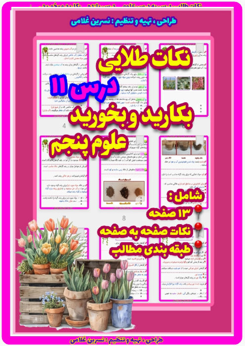 فلش کارتهای درس 11 علوم پنجم: آب و خاک و نور