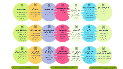 اینفوگرافیک درس 13 علوم ششم | سالم بمانیم