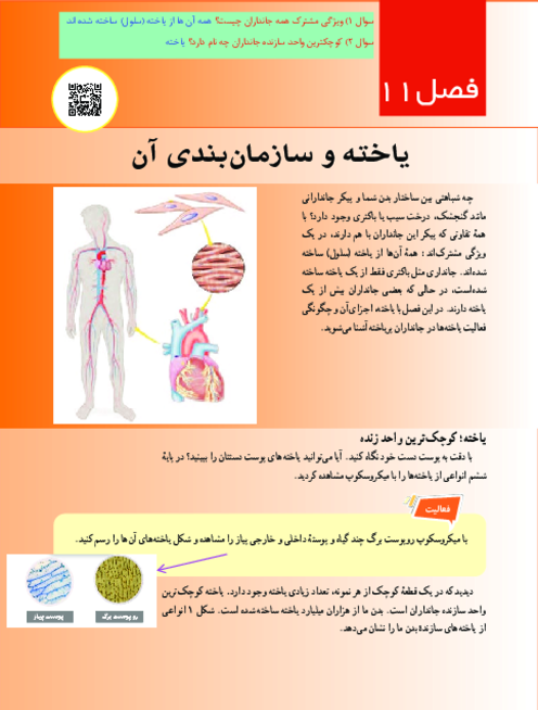 کتاب نوشت علوم هفتم فصل 11: یاخته و سازمان بندی آن