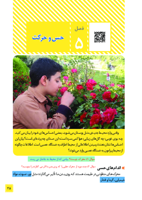  کتاب نوشت علوم هشتم فصل 5: حس و حرکت