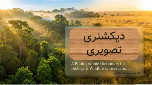 دیکشنری تصویری درس اول زبان دهم
