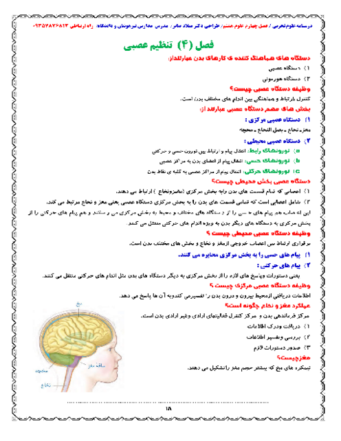 نکات مهم فصل 4 علوم هشتم؛ تنظیم عصبی