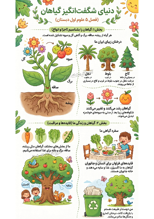 اینفوگرافیک درس 5 و 6 علوم اول دبستان