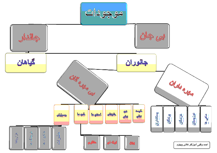 نمودار موجودات جاندار: مهره داران و بی مهرگان