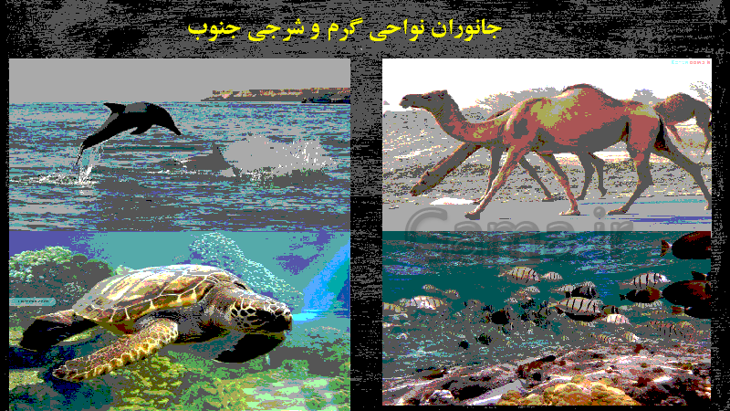 پاورپوینت مطالعات اجتماعی چهارم دبستان  | درس 18: پوشش گیاهی و زندگی جانوری در ایران- پیش نمایش