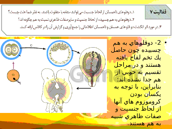 پاورپوینت زیست شناسی (2) یازدهم تجربی | فصل 7: تولید مثل- پیش نمایش