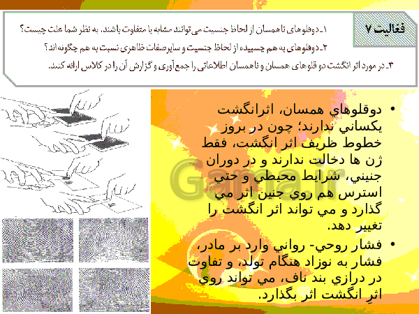 پاورپوینت زیست شناسی (2) یازدهم تجربی | فصل 7: تولید مثل- پیش نمایش