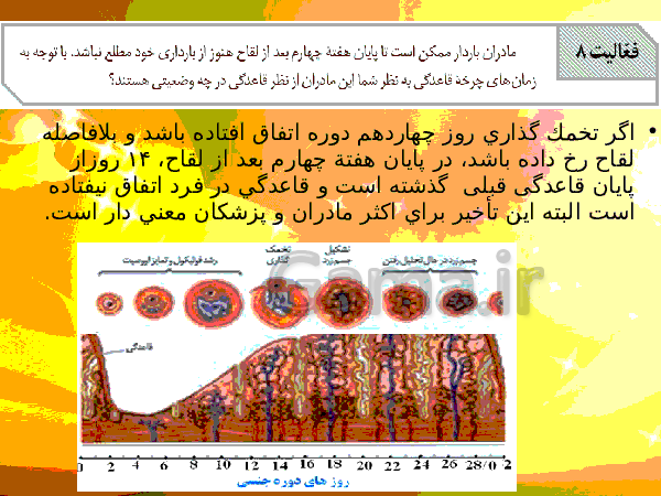 پاورپوینت زیست شناسی (2) یازدهم تجربی | فصل 7: تولید مثل- پیش نمایش