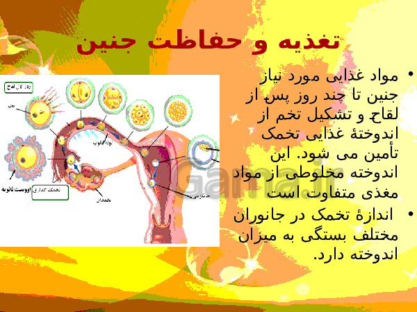 پاورپوینت زیست شناسی (2) یازدهم تجربی | فصل 7: تولید مثل- پیش نمایش