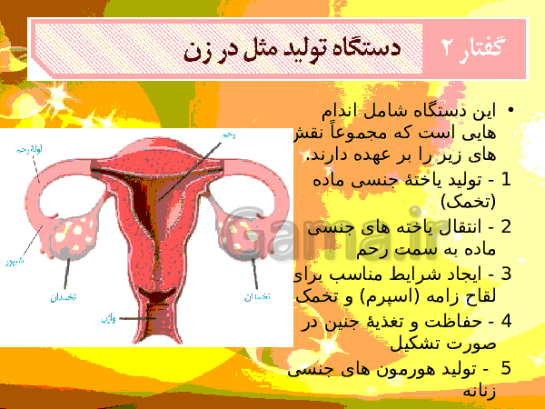 پاورپوینت زیست شناسی (2) یازدهم تجربی | فصل 7: تولید مثل- پیش نمایش