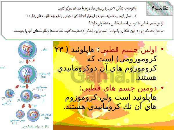 پاورپوینت زیست شناسی (2) یازدهم تجربی | فصل 7: تولید مثل- پیش نمایش