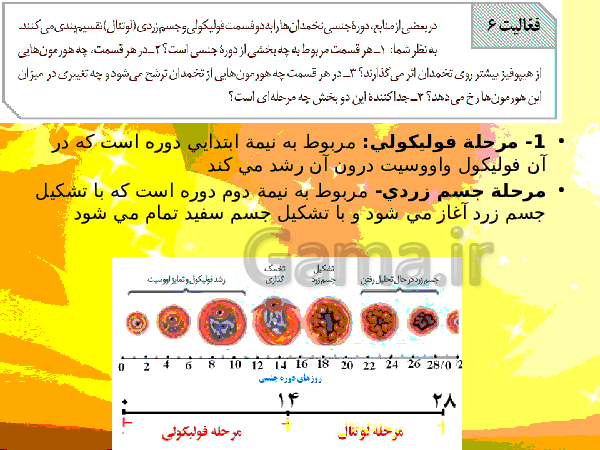 پاورپوینت زیست شناسی (2) یازدهم تجربی | فصل 7: تولید مثل- پیش نمایش