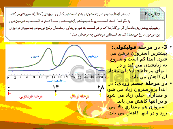 پاورپوینت زیست شناسی (2) یازدهم تجربی | فصل 7: تولید مثل- پیش نمایش