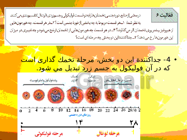 پاورپوینت زیست شناسی (2) یازدهم تجربی | فصل 7: تولید مثل- پیش نمایش