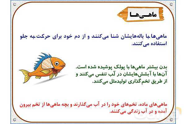 پاورپوینت علوم تجربی سوم دبستان | درس 13: هر کدام جای خود (2)- پیش نمایش