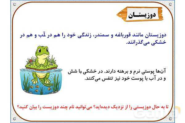 پاورپوینت علوم تجربی سوم دبستان | درس 13: هر کدام جای خود (2)- پیش نمایش