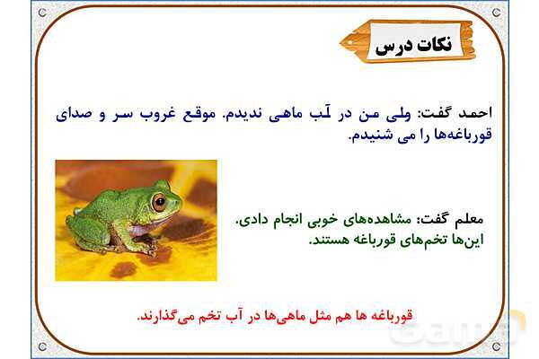 پاورپوینت علوم تجربی سوم دبستان | درس 13: هر کدام جای خود (2)- پیش نمایش
