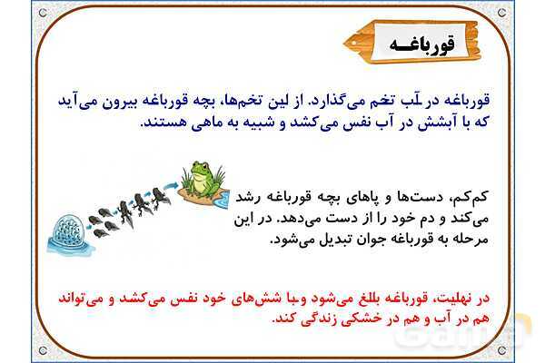 پاورپوینت علوم تجربی سوم دبستان | درس 13: هر کدام جای خود (2)- پیش نمایش