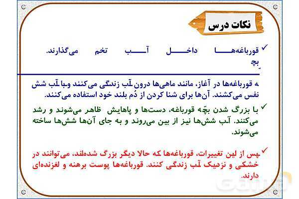 پاورپوینت علوم تجربی سوم دبستان | درس 13: هر کدام جای خود (2)- پیش نمایش