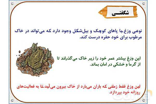 پاورپوینت علوم تجربی سوم دبستان | درس 13: هر کدام جای خود (2)- پیش نمایش
