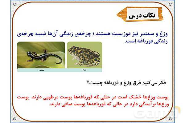 پاورپوینت علوم تجربی سوم دبستان | درس 13: هر کدام جای خود (2)- پیش نمایش