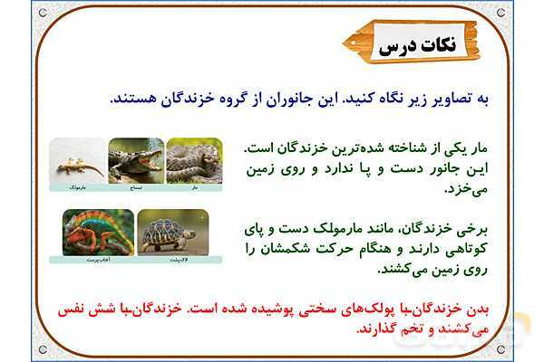 پاورپوینت علوم تجربی سوم دبستان | درس 13: هر کدام جای خود (2)- پیش نمایش