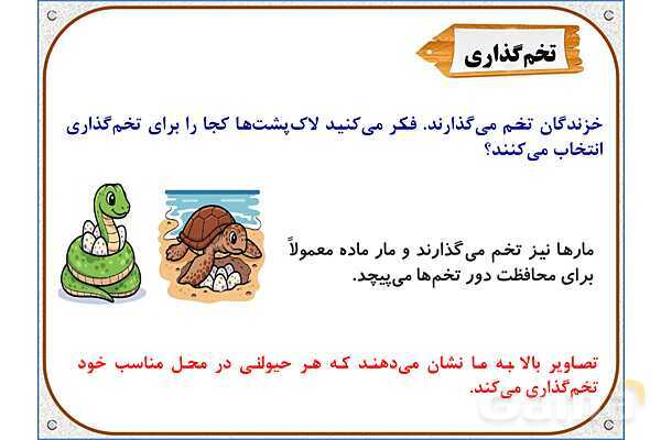 پاورپوینت علوم تجربی سوم دبستان | درس 13: هر کدام جای خود (2)- پیش نمایش