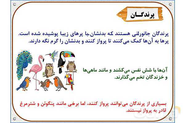 پاورپوینت علوم تجربی سوم دبستان | درس 13: هر کدام جای خود (2)- پیش نمایش