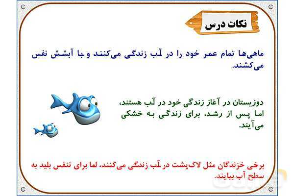 پاورپوینت علوم تجربی سوم دبستان | درس 13: هر کدام جای خود (2)- پیش نمایش