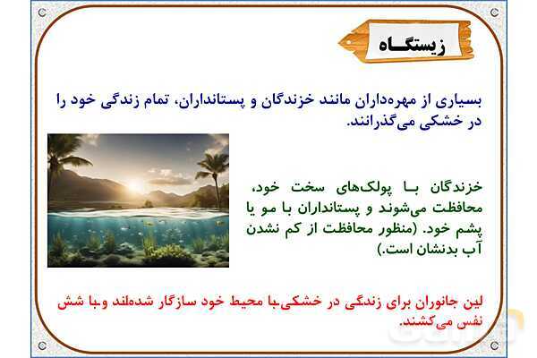 پاورپوینت علوم تجربی سوم دبستان | درس 13: هر کدام جای خود (2)- پیش نمایش