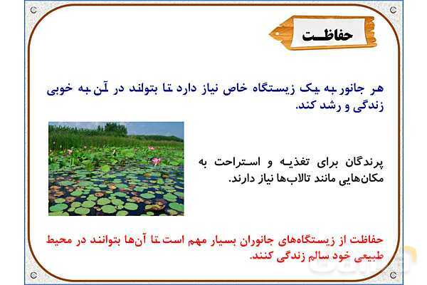 پاورپوینت علوم تجربی سوم دبستان | درس 13: هر کدام جای خود (2)- پیش نمایش
