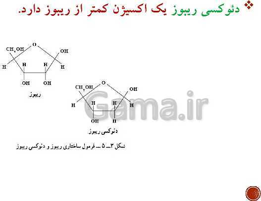 پاورپوینت تدریس زیست شناسی (3) دوازدهم تجربی | فصل 1: مولکول‌های اطلاعاتی (گفتار 1 و 2 و 3)- پیش نمایش