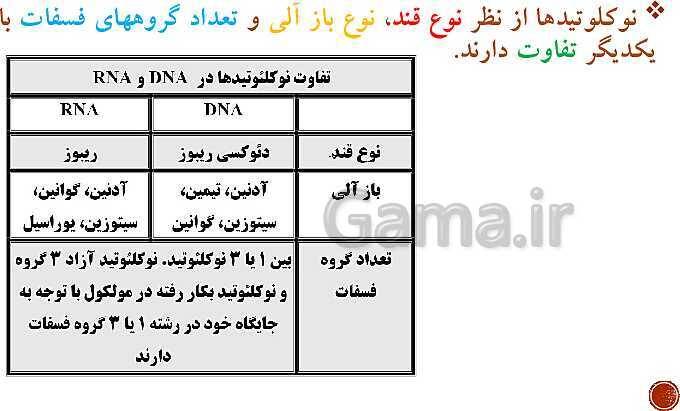 پاورپوینت تدریس زیست شناسی (3) دوازدهم تجربی | فصل 1: مولکول‌های اطلاعاتی (گفتار 1 و 2 و 3)- پیش نمایش