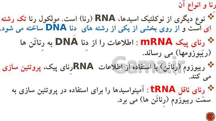 پاورپوینت تدریس زیست شناسی (3) دوازدهم تجربی | فصل 1: مولکول‌های اطلاعاتی (گفتار 1 و 2 و 3)- پیش نمایش