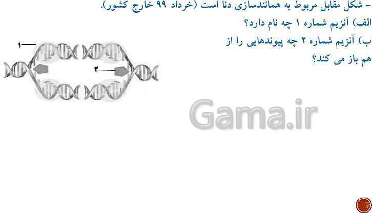 پاورپوینت تدریس زیست شناسی (3) دوازدهم تجربی | فصل 1: مولکول‌های اطلاعاتی (گفتار 1 و 2 و 3)- پیش نمایش