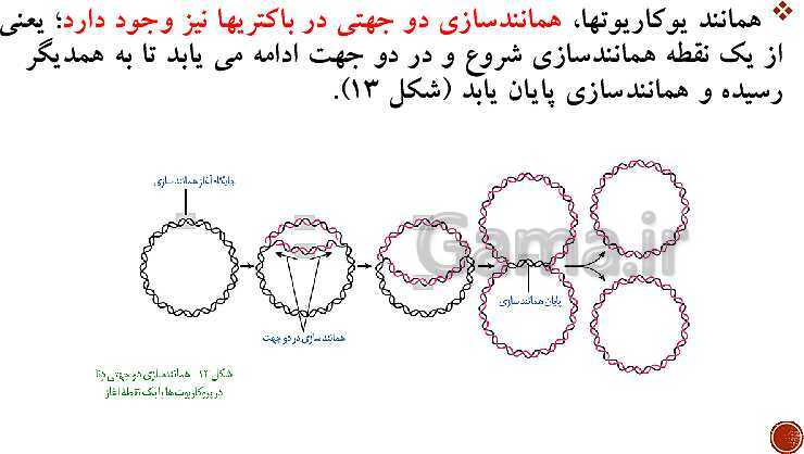 پاورپوینت تدریس زیست شناسی (3) دوازدهم تجربی | فصل 1: مولکول‌های اطلاعاتی (گفتار 1 و 2 و 3)- پیش نمایش