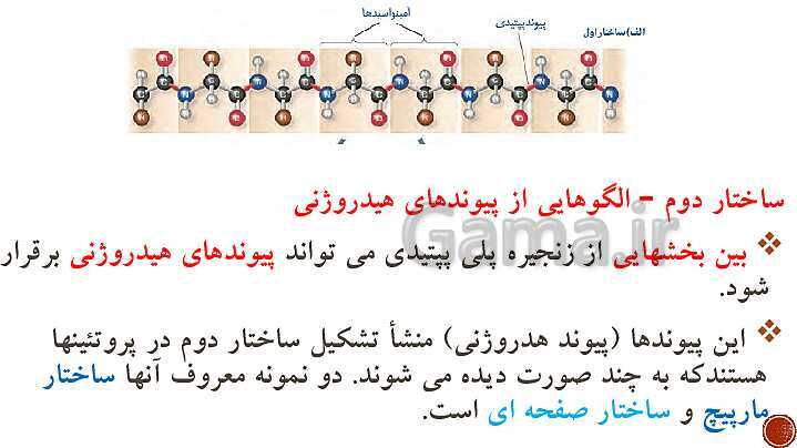 پاورپوینت تدریس زیست شناسی (3) دوازدهم تجربی | فصل 1: مولکول‌های اطلاعاتی (گفتار 1 و 2 و 3)- پیش نمایش