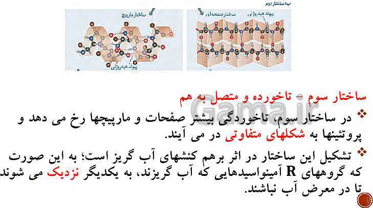 پاورپوینت تدریس زیست شناسی (3) دوازدهم تجربی | فصل 1: مولکول‌های اطلاعاتی (گفتار 1 و 2 و 3)- پیش نمایش