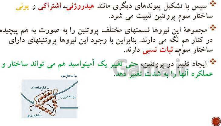 پاورپوینت تدریس زیست شناسی (3) دوازدهم تجربی | فصل 1: مولکول‌های اطلاعاتی (گفتار 1 و 2 و 3)- پیش نمایش