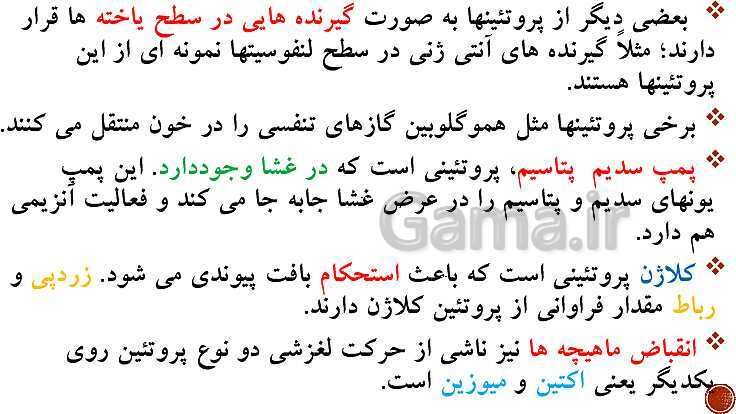 پاورپوینت تدریس زیست شناسی (3) دوازدهم تجربی | فصل 1: مولکول‌های اطلاعاتی (گفتار 1 و 2 و 3)- پیش نمایش