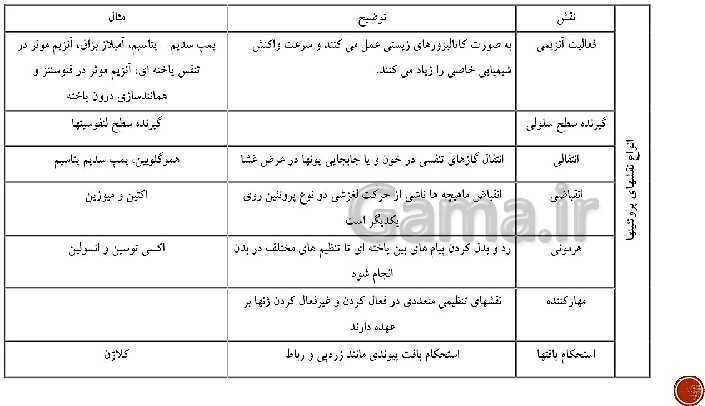 پاورپوینت تدریس زیست شناسی (3) دوازدهم تجربی | فصل 1: مولکول‌های اطلاعاتی (گفتار 1 و 2 و 3)- پیش نمایش