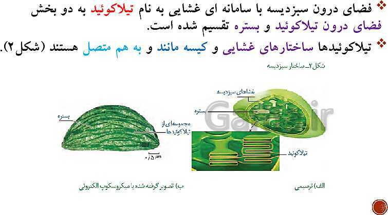 پاورپوینت تدریس زیست شناسی (3) دوازدهم تجربی | فصل 6: از انرژی به ماده (گفتار 1 تا 3)- پیش نمایش