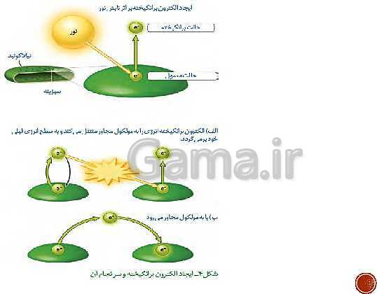 پاورپوینت تدریس زیست شناسی (3) دوازدهم تجربی | فصل 6: از انرژی به ماده (گفتار 1 تا 3)- پیش نمایش