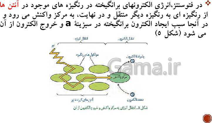 پاورپوینت تدریس زیست شناسی (3) دوازدهم تجربی | فصل 6: از انرژی به ماده (گفتار 1 تا 3)- پیش نمایش