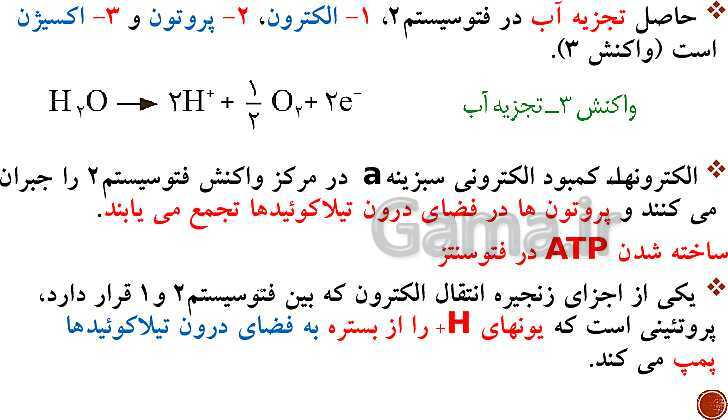 پاورپوینت تدریس زیست شناسی (3) دوازدهم تجربی | فصل 6: از انرژی به ماده (گفتار 1 تا 3)- پیش نمایش