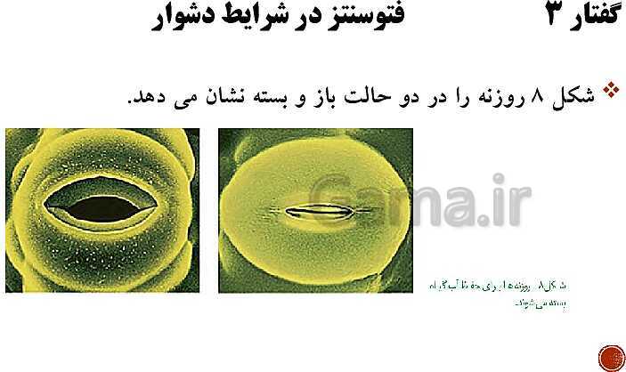 پاورپوینت تدریس زیست شناسی (3) دوازدهم تجربی | فصل 6: از انرژی به ماده (گفتار 1 تا 3)- پیش نمایش